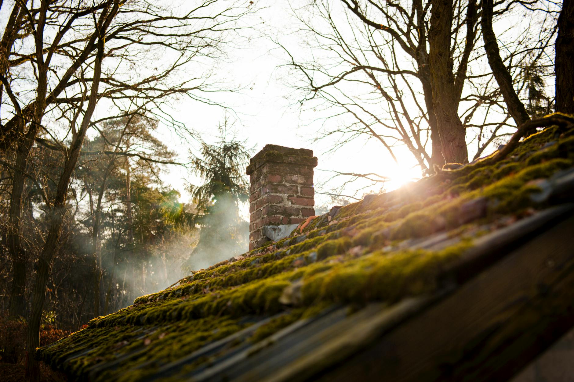 Ceglany komin na starym, omszałym dachu wśród drzew